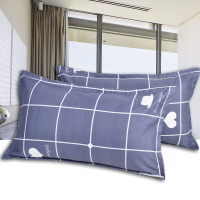枕套一对装单人枕用情侣整头套枕芯套枕头外套枕头皮学生枕头套 简单格调 48cmX74cm