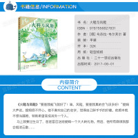 火鞋与风鞋 彩乌鸦系列 小学生课外阅读书籍三四五六年级课外书 8-9-10-11-12岁文学儿童读物非注音版推荐阅读书籍