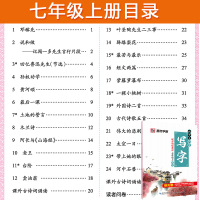 七年级下册字帖语文同步写字课部编人教版初中生基本笔顺笔画中学生练字本七年级字帖上册下册钢笔练字帖 七年级上册