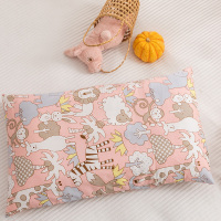 全棉儿童枕芯男女3-6-10岁纯棉宝宝枕头四季幼儿园午睡小学生枕芯 单枕套拍下留言花色