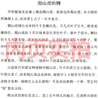 爬山虎的脚 四年级小学生正版必读课外书叶圣陶儿童文学全集散文寓言故事三年级五年级六年级阅读书籍上册下册南京大学出版社
