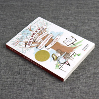 国际大奖小说 我是你的隐形朋友 非注音小学生课外阅读儿童文学读物6-12周岁故事书 班主任推荐三年级课外书四五六年级新蕾