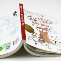 国际大奖小说 我是你的隐形朋友 非注音小学生课外阅读儿童文学读物 6-12周岁故事书书籍 班主任推荐三四五六年级课外阅读