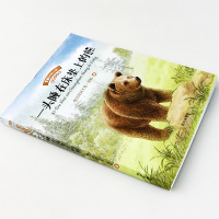 一头睡在床垫上的熊注音版 黑鹤动物小说一二三年级小学生课外阅读必读书籍6-12岁青少儿童成长励志故事书带拼音的儿童文学读