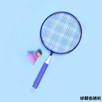 儿童羽毛球拍迷你套装3-12岁幼儿园宝宝小学生单双拍初学小孩玩具 [蓝色]简易款1只+1只儿童球(无背包) 成品拍