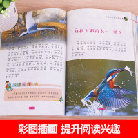 动物王国大揭秘 彩图注音 6-12岁小学生课外阅读书籍儿童读物带拼音 动物大探秘 百科全书 儿童科普书籍 科普大百科