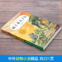 霸王龙父子情 沈石溪中外动物小说精品升级版 9-12岁儿童文学励志动物成长故事 三四五六年级小学生课外阅读书 安徽少年儿
