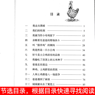 土鸡的冒险 6-8-10-12岁儿童课外语文读物 三四五年级小学生课外阅读故事书籍 常新港动物励志小说 儿童文学成长小说