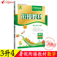 小学生衔接教材 三升四暑假衔接 数学下 3升4三年级升四年级暑假作业人教版 快乐暑假接力棒三升四 暑期培训教材培优