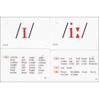 英语音标学习卡 上海教育出版社 小学生英语学习启蒙 音标启蒙学习卡片 零基础音标入门书籍 5-12岁音标启蒙学习卡片书籍