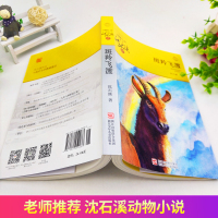 斑羚飞渡 沈石溪正版浙江少儿出版社正版书免邮沈石溪动物小说全集狼王梦作者四五六年级小学生课外阅读书籍必读书目读物羚羊飞渡