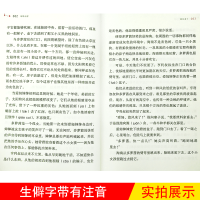 绿野仙踪 亲近母语第二辑经典童书 7-8-10-12岁儿童文学读物 二三四年级学生课外书 青少年 小学生文学名著阅读儿童