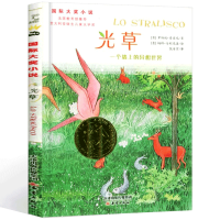 光草 一个墙上的异想世界 儿童成长励志文学小说 纽伯瑞国际大奖小说 7到14岁青少年童书 中小学生课外阅读图书新蕾出版