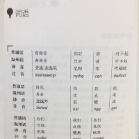 百晓教你学说温州话 附光盘最新版 学说温州话的应急工具书和通俗读物 通俗易懂 轻松容易学正宗温州话方言书籍