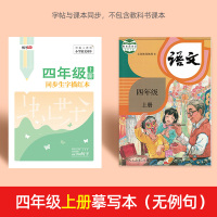 四五六年级上册下册字帖人教版语文课本同步钢笔字帖部编版笔画笔顺硬笔正楷书描红本小学生英语练字帖儿童练习每日一练初学者全套