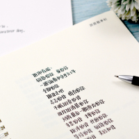 颖颖手写体练字帖贴本女生字体漂亮大学生硬笔书法行楷行书临摹神器男速成成年人神仙网红练习写字