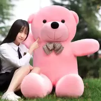 泰迪熊公仔毛绒玩具大抱抱熊布娃娃可爱睡觉抱枕玩偶女孩生日礼物 粉红色泰迪熊 直角量80厘米拉直量60厘米