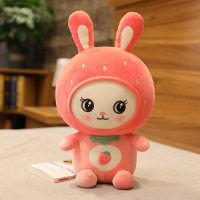 兔子毛绒玩具小号娃娃女孩可爱床上玩偶睡觉抱枕公仔儿童新年礼物 MD坐姿草莓甜心兔 30cm【代写贺卡】