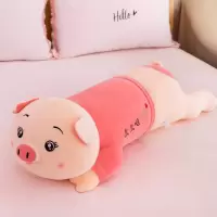 可爱猪猪毛绒玩具睡觉长条枕公仔玩偶布娃娃男女生款软萌生日礼物 么么哒 深粉圆眼 60厘米《收藏加购优先发货》