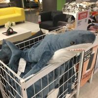 ins鲨鱼抱枕虎鲸鱼公仔可爱小 海豚毛绒玩具玩偶儿童娃娃生日礼物 鲨鱼抱枕 [送香包] 60厘米