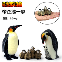 仿真极地海洋动物企鹅北极熊模型玩具海豹海象狮塑胶儿童认知礼物 岩跳企鹅