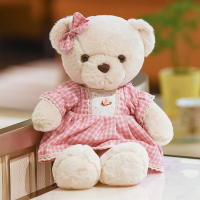 可爱儿童玩偶穿衣服小熊娃娃抱抱熊毛绒玩具泰迪熊公仔女生日礼物 粉色格子裙 40厘米