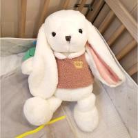 长耳公主兔子公仔儿童房陪睡毛绒玩具儿童抱枕送女孩女生生日礼物 雪花白 30cm(联系客服可打印照片赠言)