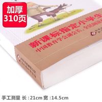 怪老头儿正版孙幼军儿童文学经典书系三四五六年级课外书