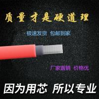 电缆线单芯镀锡铜丝光伏直流线PV1-F2.5/4/6平方太阳能光伏直流 红色 2.5平方10米