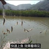 小鱼网丝网粘网单层渔网沉网浮网50米1米白条鱼网粘鱼网半指一指 单层0.8米1指眼11米[沉网]