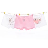 [三条装]儿童内裤纯棉十二岁女童平角三角短裤学生可爱卡通内裤 G25(四角裤) 110