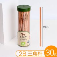 铅笔原木无毒桶装六角HB铅笔考试2B铅笔小学生2H素描绘画铅笔 30支/桶 三角2B 单桶铅笔