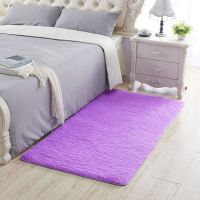 [亏本冲销量 ]地毯卧室可爱床边地毯地垫飘窗客厅茶几满铺地毯 浅紫色长方形 40*120厘米 小脚垫