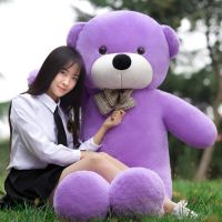 毛绒玩具熊公仔熊猫抱抱熊抱枕女生日礼物布娃娃特大号泰迪熊超大 紫色泰迪熊 直角量80厘米拉直量60厘米