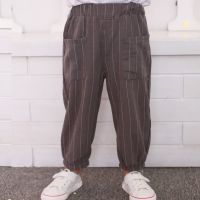 儿童裤子男童宽松夏季防蚊裤宝宝棉麻长裤小童洋气薄款男孩灯笼裤 灰色 90 建议宝宝1-2岁穿（可开裆）正码