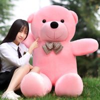泰迪熊公仔熊猫抱抱熊抱枕布娃娃毛绒玩具生日礼物女生可爱玩偶女 粉红色泰迪熊 直角量80厘米拉直量60厘米