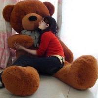 毛绒玩具公仔泰迪熊猫抱抱熊女布娃娃可爱床上抱枕睡觉特大号玩偶 深棕泰迪熊领结款 直角量1.2米送玫瑰花