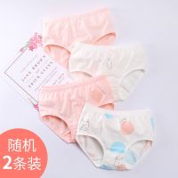 女童内裤纯棉抗菌宝宝中大童小学生女短裤儿童三角内裤女 4022波点小兔随机色两条装 100码适合16-23斤