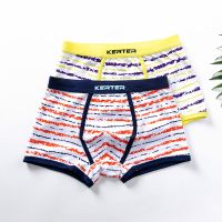 条纹儿童内裤男纯棉平角裤儿童平角裤中大童学生短裤【2条4条装】 N31 两条装 110cm建议体重25-30斤