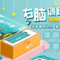 右脑训练营记忆大挑战右脑均衡发展提升各项能力