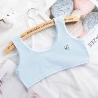 4件装 夏季女童纯棉内衣发育期背心高中学生打底防凸点8-16岁双层 蓝色1件 单层宽肩 140(S码(40-60斤))