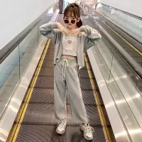 女童秋装套装儿童网红洋气2021新款韩版时髦大童装女孩运动衣服潮 灰色 外套+背心+阔腿裤 『标准尺码 110 CM建议