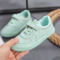 童鞋儿童小白鞋2020春秋新款女童休闲鞋中大童男童鞋儿童鞋女 0056绿色 0056绿色 23 内长/16cm