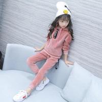 女童金丝绒套装2019新款加绒加厚两件套宝宝时髦洋气双面绒冬装潮 粉色[单层]春装 110cm(110建议身高100左右