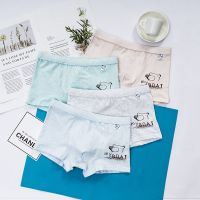 纯棉 95%棉彩棉男孩内裤四角短裤中大童学生儿童平角底裤小孩 小熊图案[3条袋装] L[建议35-45斤]