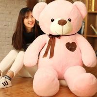 毛绒玩具泰迪熊公仔大号1.6m抱抱熊熊猫玩偶布娃娃生日礼物送女友 粉色(有拉链可拆洗) 60cm(送玫瑰花)