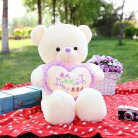 泰迪熊毛绒玩具熊公仔大熊猫圣诞礼物送女友可爱布娃娃女孩抱抱熊 爱我你就抱抱我 45厘米(送香包)