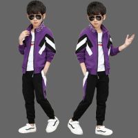 童装男童秋装套装2019新款儿童套装男孩春秋款中大童男装三件套 拼三角三件套 紫色 130 身高120cm以下