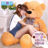泰迪熊公仔毛绒玩具女生儿童生日礼物抱抱熊布娃娃熊猫抱枕洋娃娃 浅棕色 直量角55厘米（全长40厘米）