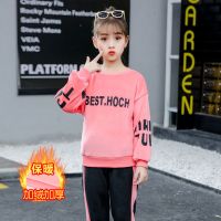 女童金貂绒秋冬两件套2021新款时髦儿童洋气套装运动加绒加厚卫衣 桃色 金貂绒面料 110